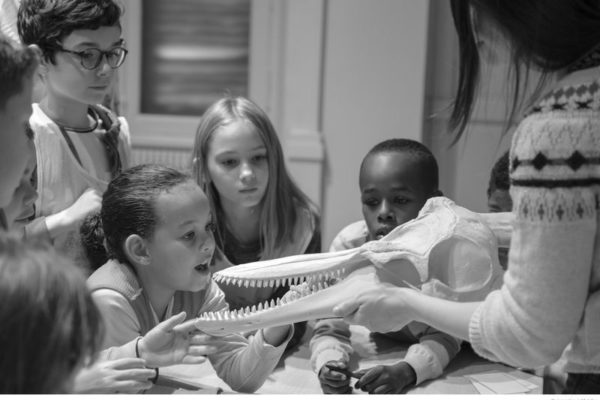 Image de l'activité